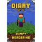 Diary of a Wimpy Herobrine: Book for Kids. Extraordinary Intelligent Masterpiece That Makes Children Lough. for All Minecrafters - Paperback