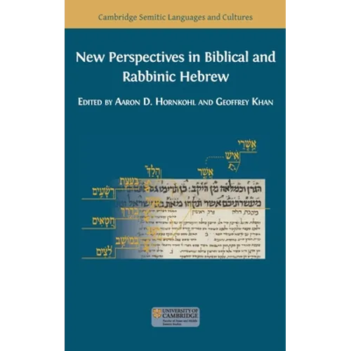 New Perspectives in Biblical and Rabbinic Hebrew - Hardcover