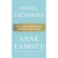 Small Victories: Spotting Improbable Moments of Grace - Hardcover