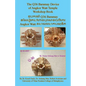The Q36 Baramay Device of Angkor Watt Temple Workshop Book - Paperback