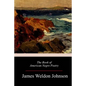 The Book of American Negro Poetry - Paperback