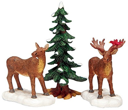 Mr & Mrs Moose