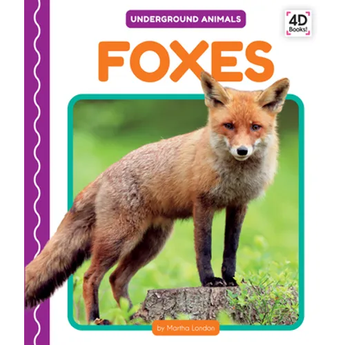 Foxes - Library Binding