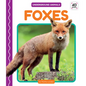 Foxes - Library Binding