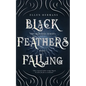Black Feathers Falling: The Banned Series - Paperback