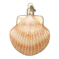 Scallop Shell Ornament