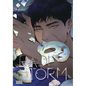 Radio Storm, Vol. 3 - Paperback