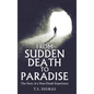 From Sudden Death to Paradise: The Story of a Near-Death Experience - Hardcover