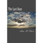 The Last Days: The Last Pope, The Antichrist and The False Prophet - Paperback