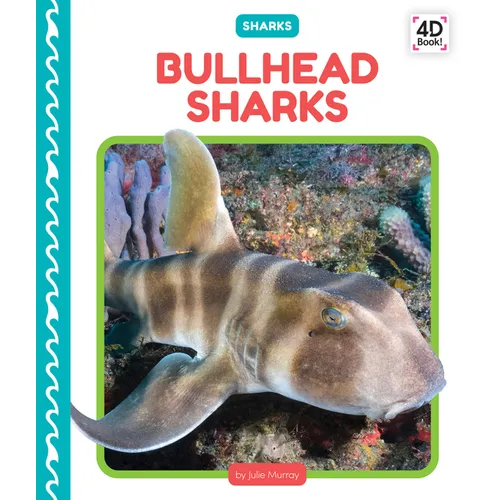 Bullhead Sharks - Library Binding