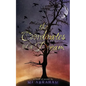 The Coordinates of a Dream - Paperback