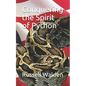 Conquering the Spirit of Python - Paperback