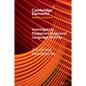 Investigating Plagiarism in Second Language Writing - Paperback