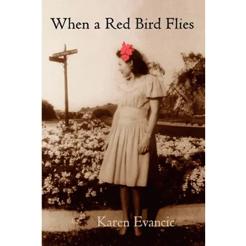 When a Red Bird Flies - Paperback