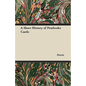 A Short History of Pembroke Castle - Paperback