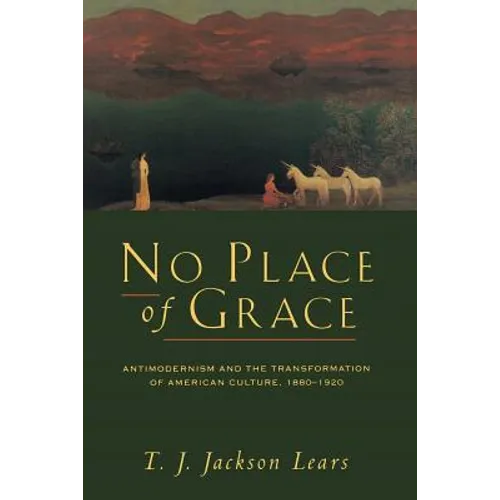 No Place of Grace: Antimodernism and the Transformation of American Culture, 1880-1920 - Paperback