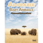 Adorable Baby Animals Grayscale Coloring Book: 32 Sweet Pictures to Color Featuring Baby Camels, Pigs, Ducks, and Much More - Paperback
