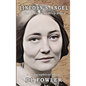 Lincoln's Angel: The Rebecca Pomroy Story - Hardcover