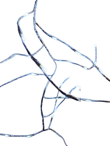6 Foot Pre-Lit LED Twinkle Silver Branch Garland