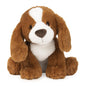 Kian Spaniel Puppy