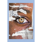 The Small Fine Print: God's Plan for Your Vision - Paperback