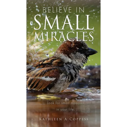 Believe in Small Miracles: Look for small miracles in your life. - Hardcover