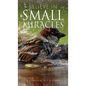 Believe in Small Miracles: Look for small miracles in your life. - Hardcover