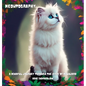 Meowtography - Hardcover