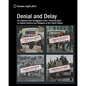 Denial and Delay: The Impact of the Immigration Law's "Terrorism Bars" on Asylum Seekers and Refugees in the United States - Paperback