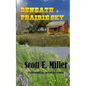 Beneath a Prairie Sky - Paperback