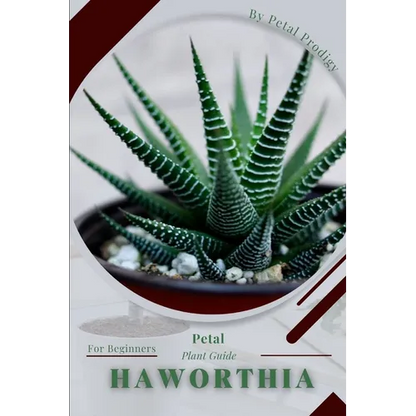 Haworthia: Prodigy Petal, Plant Guide - Paperback