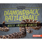 Diamondback Rattlesnake: North American Hunter - Library Binding