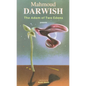 The Adam of Two Edens - Paperback