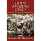 God's Amazing Grace: Spanning Four Generations - Paperback