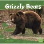 Grizzly Bears - Library Binding