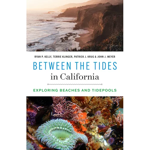 Between the Tides in California: Exploring Beaches and Tidepools - Paperback