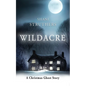 Wildacre: A Christmas Ghost Story - Paperback