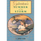Galveston's Summer of the Storm - Paperback