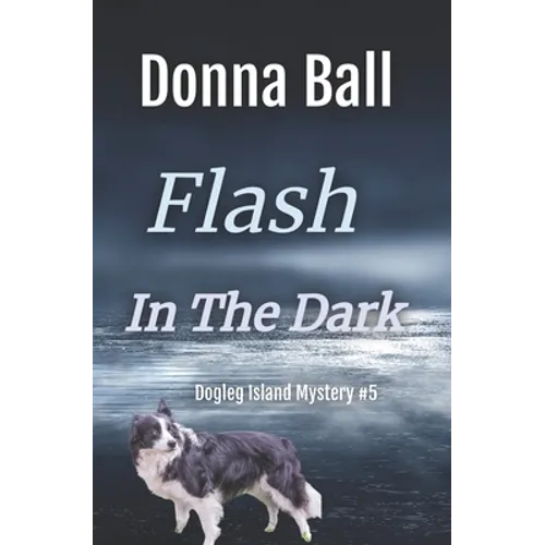 Flash in the Dark - Paperback