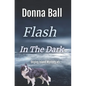 Flash in the Dark - Paperback