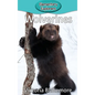 Wolverines - Hardcover