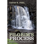 Pilgrim's Process: Essays from a Theological Journey - Paperback