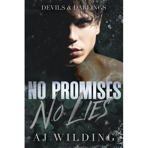 No Promises, No Lies - Paperback