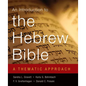 Introduction to the Hebrew Bible: A Thematic Approach - Paperback