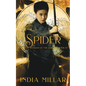 Spider: A Japanese Historical Fiction Novel - Paperback
