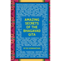 Amazing Secrets of the Bhagavad Gita: A Grandfather and Grandson Discuss Hinduism, Yoga, Reincarnation, and More - Paperback