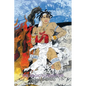 The Magic Flyswatter: A Superhero Tale of Africa, Retold from the Mwindo Epic - Paperback