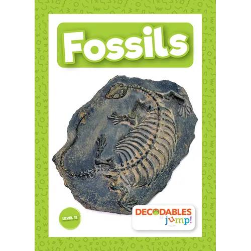 Fossils - Library Binding