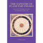 The Tapestry of Planetary Phases - Paperback