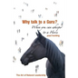 Art of Authentic Leadership. Why Talk to a Guru? When You Can Whisper to a Horse - Paperback